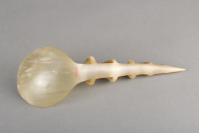 Haida%20artist%2C%20%3Cb%3E%3Ci%3E%20Carved%20Spoon%3C%2Fi%3E%3C%2Fb%3E%2C%20ca.%201900%2C%20mountain%20sheep%20horn%20with%20abalone%20shell%20inlay%2C%20Museum%20Purchase%3A%20Indian%20Collection%20Subscription%20Fund%2C%20Rasmussen%20Collection%20of%20Northwest%20Coast%20Indian%20Art%2C%20no%20known%20copyright%20restrictions%2C%2048.3.265